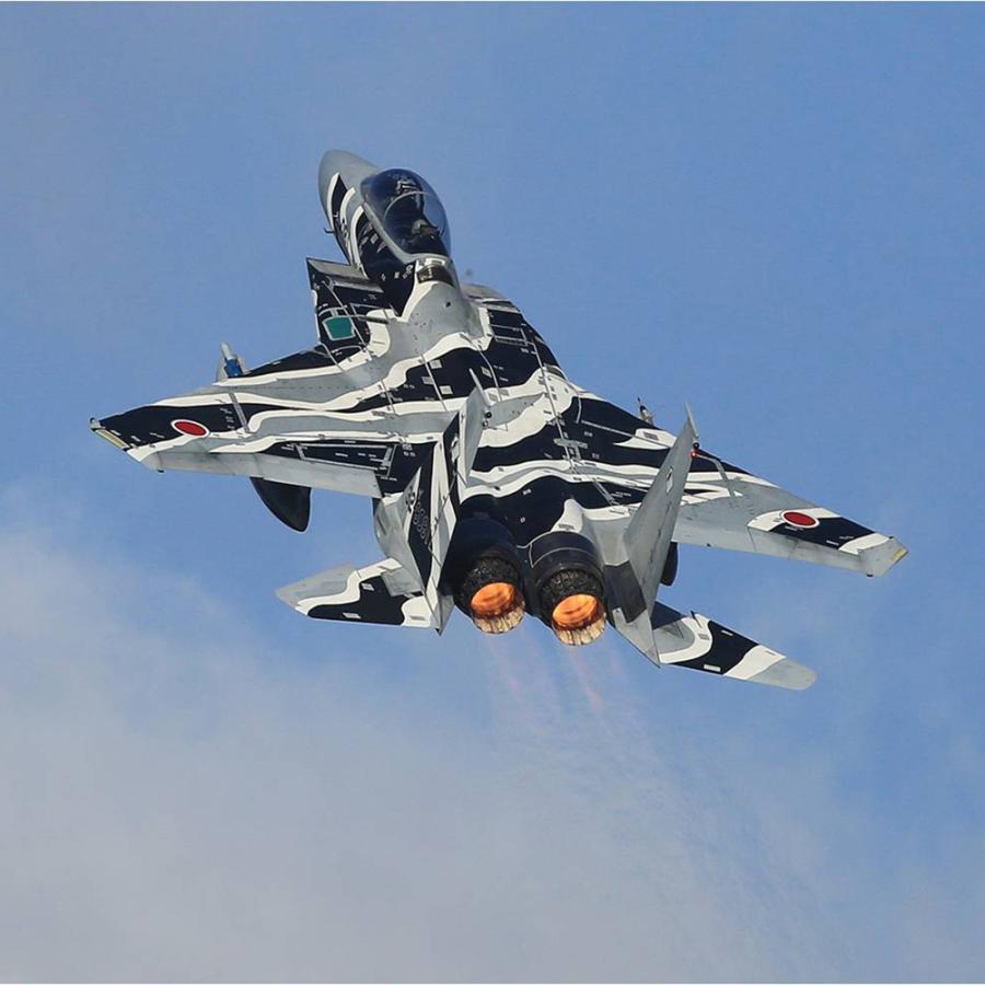 JSDF KENTEX ケンテックス Solar Pro 航空自衛隊 飛行教導群モデル