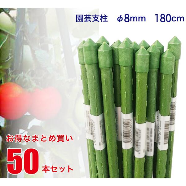 園芸支柱 8mm×長さ180cm 50本 セット (まとめ買い) (配送地域限定商品