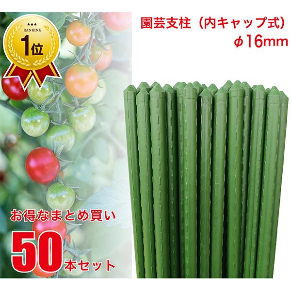 園芸支柱 内キャップ式 16mm×長さ120cm 50本 セット (まとめ買い) 鋼管
