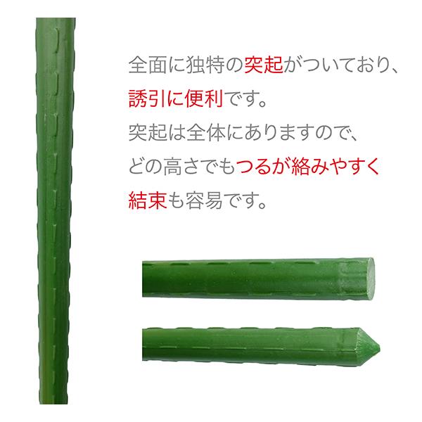 園芸支柱 内キャップ式 16mm×長さ150cm 50本 セット (配送地域限定商品