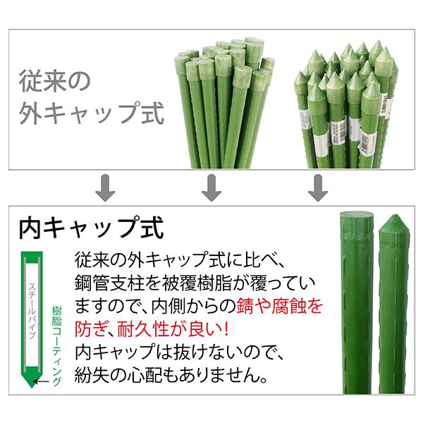 園芸支柱 内キャップ式 20mm×長さ120cm 50本 セット (まとめ買い) 鋼管竹 イボ竹 農業 資材 花 野菜 畑 庭 ガーデニング 家庭菜園 JSB-20-120-SET 10本組×5_1