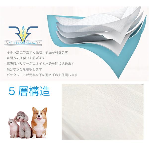 ペットシーツ 薄型 レギュラー 800枚 ワイド 400枚 大容量 業務用