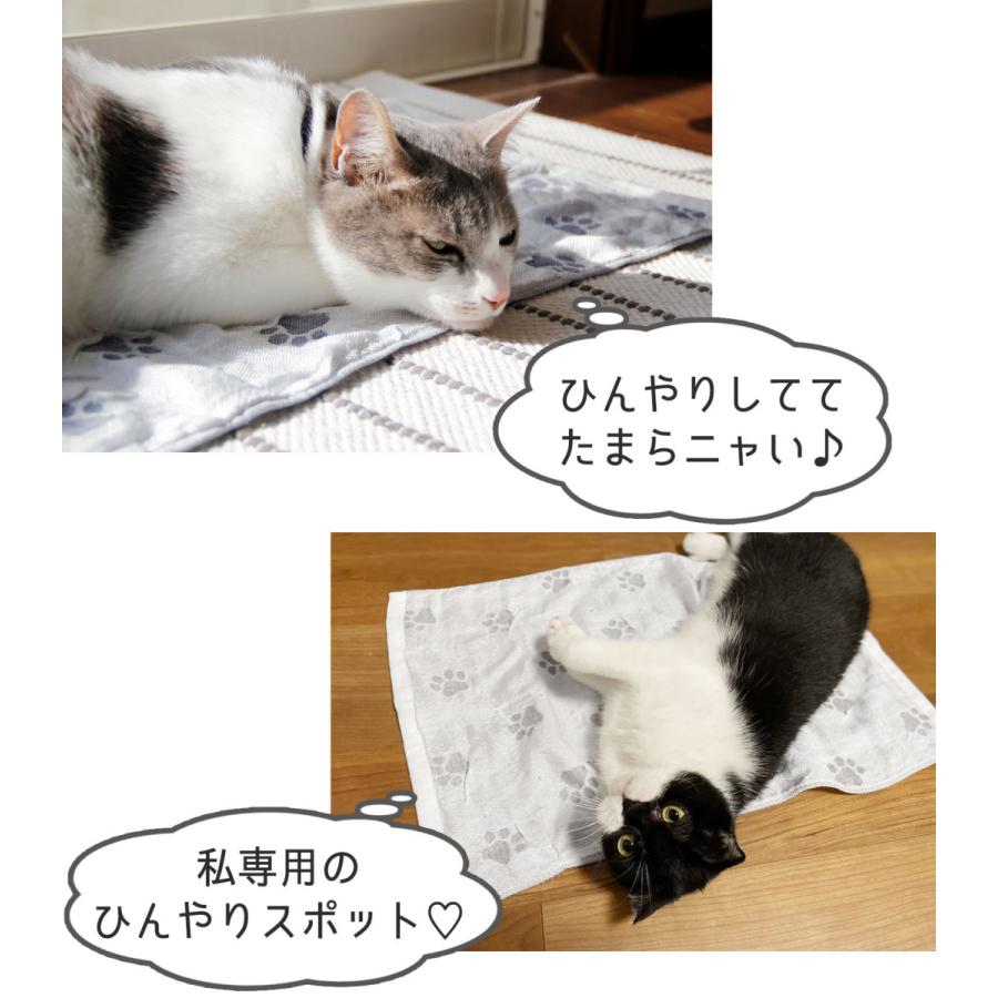 専門店では 日本製 ペット用 冷感クールマット 犬 猫 ガーゼタイプ ペット用品 ネコポスで送料無料 r Riosmauricio Com