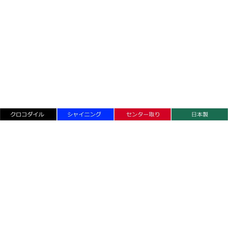 クロコダイルバッグ crocodile クロコダイル ハンドバッグ シャイニング加工 / レディース 保証書 付きの画像
