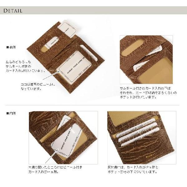 sankyo shokai（三京商会） ［ネコポスで送料無料］ (カードケースパス