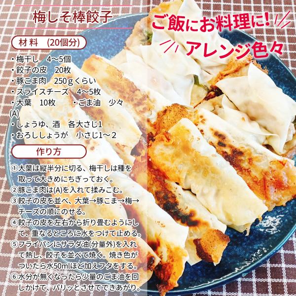 JA紀南 送料無料 紀州産南高梅干 つぶれ梅よりちょっといい訳あり