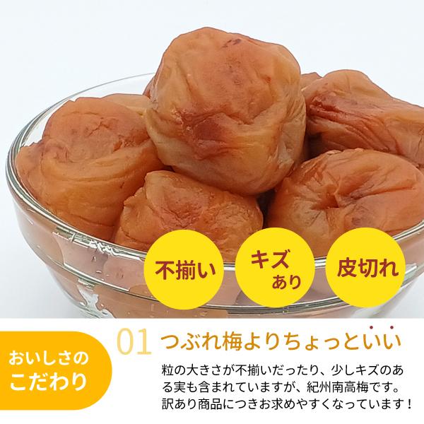JA紀南 送料無料 紀州産南高梅干 つぶれ梅よりちょっといい訳あり