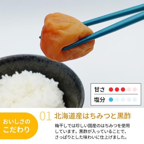 JA紀南 ご家庭用 紀州南高梅干 北海道産はちみつ入り はちみつ梅 塩分4