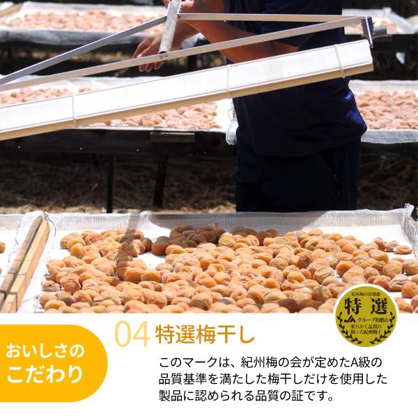 JA紀南 ご家庭用 紀州南高梅干 北海道産はちみつ入り はちみつ梅 塩分4