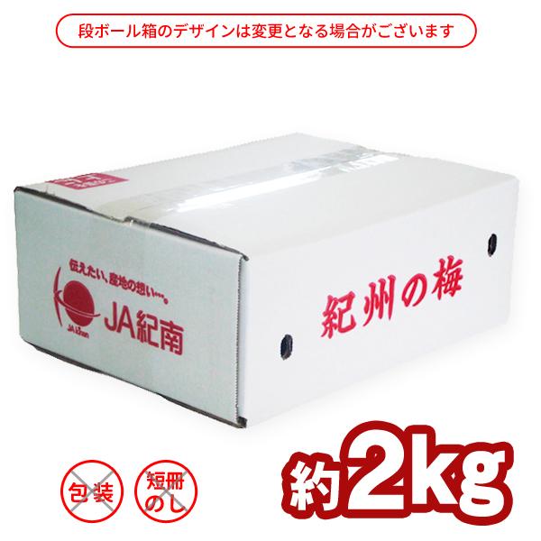 JA紀南 送料無料 ＜早め発送＞紀州産南高梅 2Lサイズ 約2kg 梅酒・梅 
