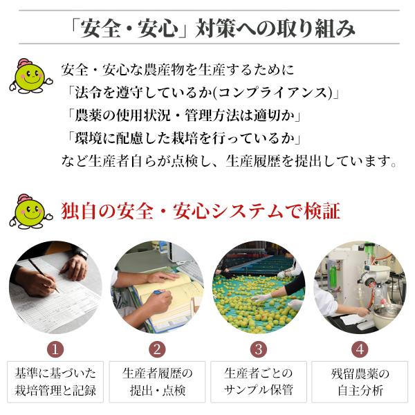 JA紀南 送料無料 ＜早め発送＞紀州産南高梅 2Lサイズ 約10kg 1箱 梅酒
