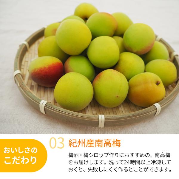 JA紀南 送料無料 ＜早め発送＞紀州産南高梅 2Lサイズ 約10kg 1箱 梅酒