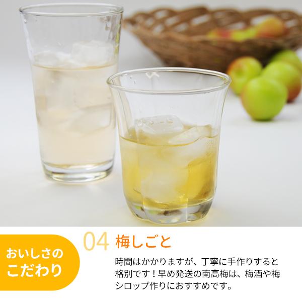 JA紀南 送料無料 ＜早め発送＞紀州産南高梅 2Lサイズ 約10kg 1箱 梅酒