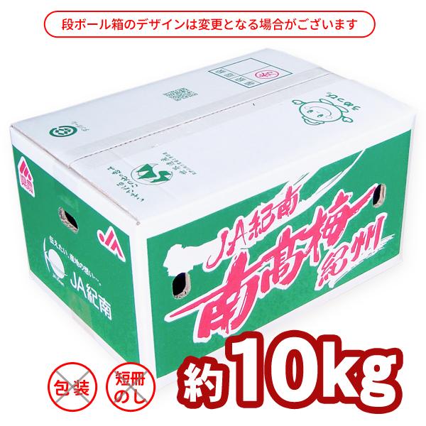 JA紀南 送料無料 ＜早め発送＞紀州産南高梅 2Lサイズ 約10kg 1箱 梅酒
