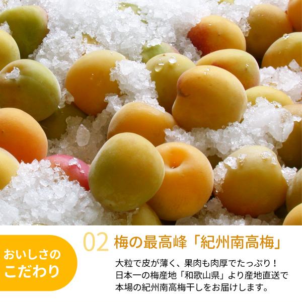 和歌山県紀南産　完熟南高梅10㎏秀品　Ｍ 南高梅 【完熟梅】10kg 3Lサイズ 綺麗な梅と多少の傷のある梅。 送料