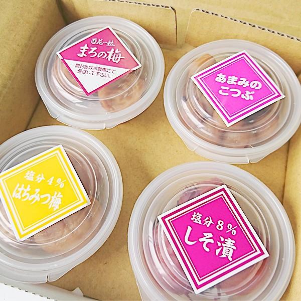 送料無料 和歌山県産 紀州産梅干お試しセット 50g×4種類 おためし 人気の梅干し はちみつ梅他南高梅3品と小梅1品※お一人様一回限り|ja-kinan|02