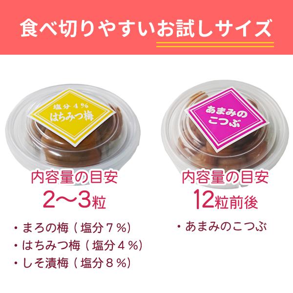 送料無料 和歌山県産　紀州産梅干お試しセット 50g×4種類 おためし 人気の梅干し はちみつ梅他南高梅3品と小梅1品※お一人様一回限り｜ja-kinan｜05