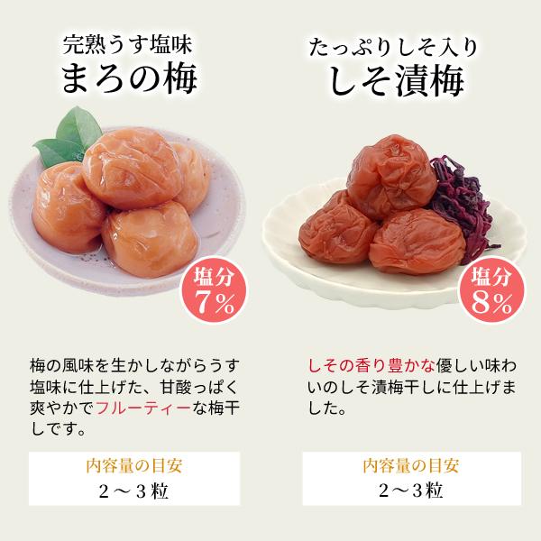 JA紀南 【送料無料】【ポスト投函】紀州南高梅干しのお試しセット 50g 
