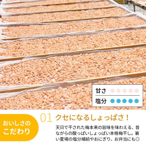 JA紀南 ご家庭用 紀州小梅干 昔ながらのしょっぱい白干し小梅 塩分22
