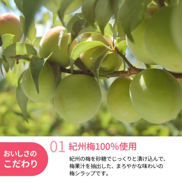 送料無料 梅シラップ 590g×12本 紀州梅100％ 梅ジュース 原液 濃縮