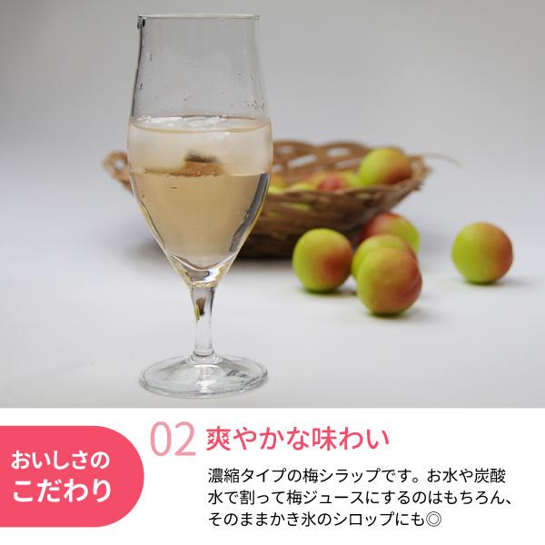 送料無料 梅シラップ 590g×12本 紀州梅100％ 梅ジュース 原液 濃縮
