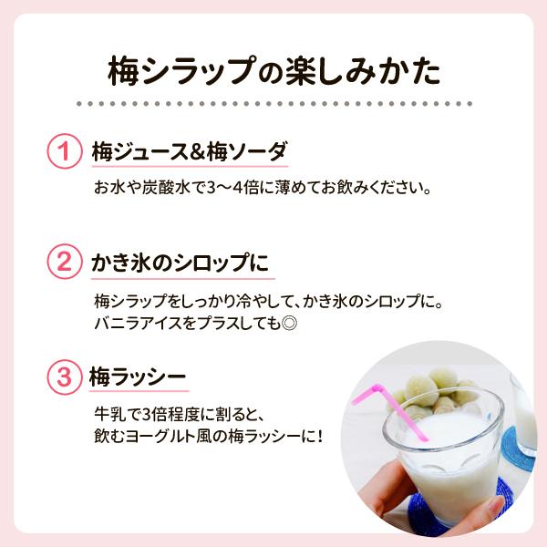 梅シラップ 590g 紀州梅100％ 梅ジュース 原液 濃縮タイプ 梅ジュース