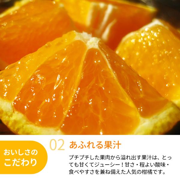 JA紀南 みかん 木熟 デコポン 約5kg 18〜20玉入り 1箱 秀品 送料無料