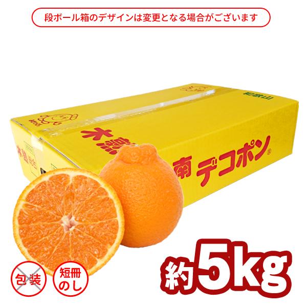 JA紀南 みかん 木熟 デコポン 約5kg 18〜20玉入り 1箱 秀品 送料無料