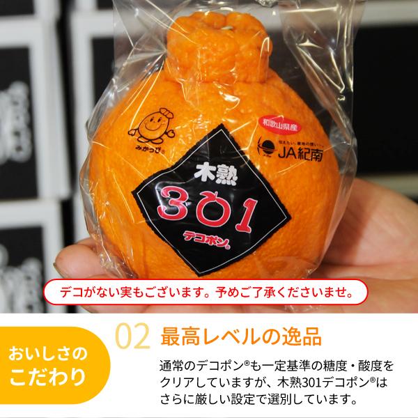 JA紀南 みかん 木熟301 デコポン 約3kg 12〜15玉入り 1箱 秀品 送料