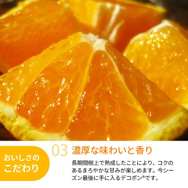 JA紀南 みかん 木熟301 デコポン 約3kg 12〜15玉入り 1箱 秀品 送料