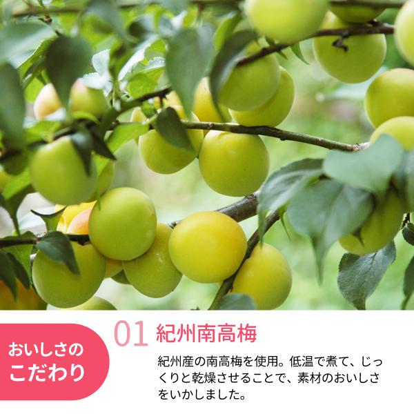 JA紀南 ドライフルーツ南高梅 20g 和歌山県産 紀州南高梅 お菓子作り