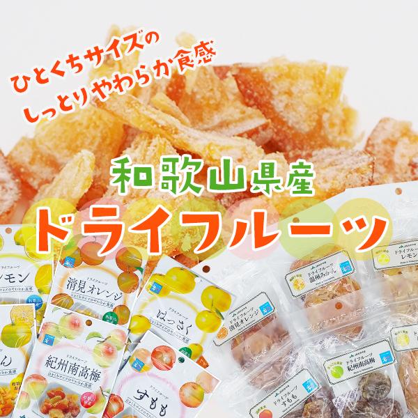 JA紀南 ドライフルーツ南高梅 20g 和歌山県産 紀州南高梅 お菓子作り