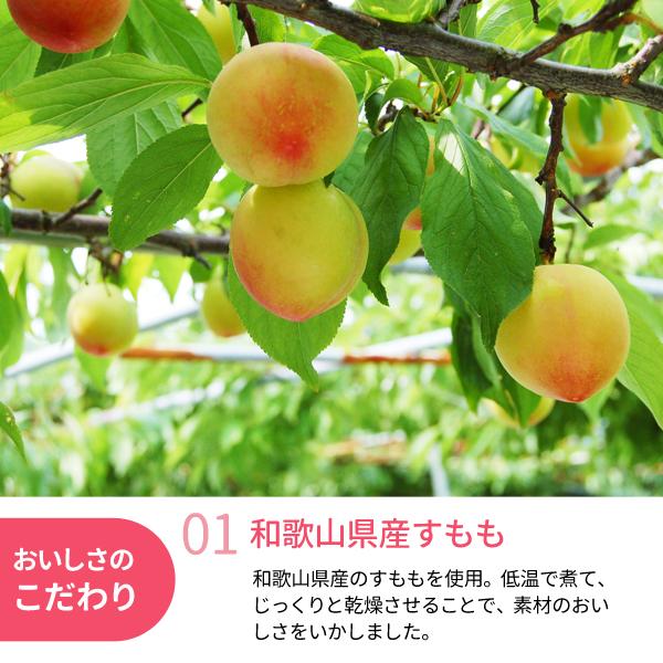 JA紀南 ドライフルーツすもも 20g 和歌山県産 スモモ お菓子作り