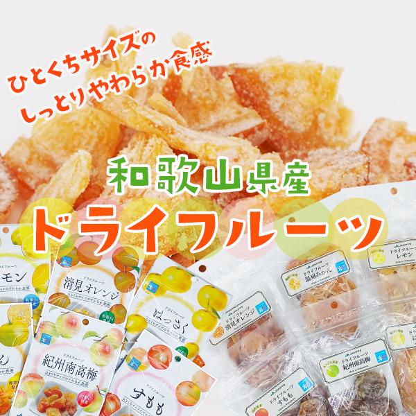 JA紀南 ドライフルーツすもも 20g 和歌山県産 スモモ お菓子作り