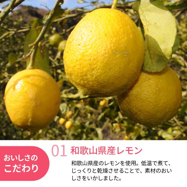 JA紀南 ドライフルーツレモン 22g 和歌山県産 檸檬 お菓子作り おやつ