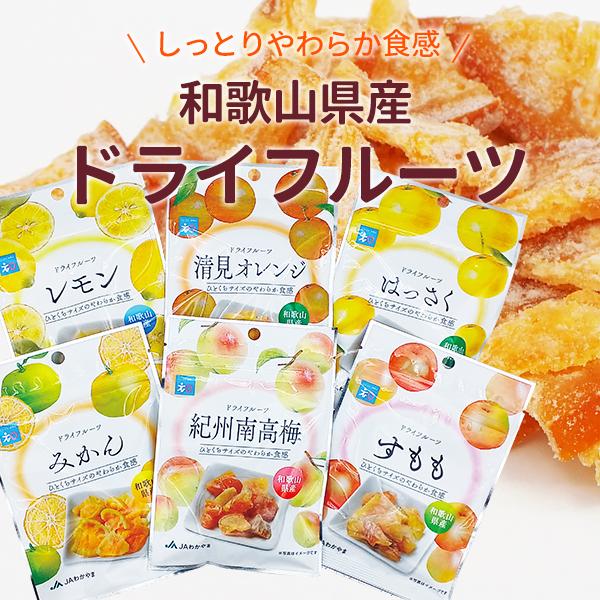 JA紀南 【送料無料】【ポスト投函】ドライフルーツ6種類お試しセット