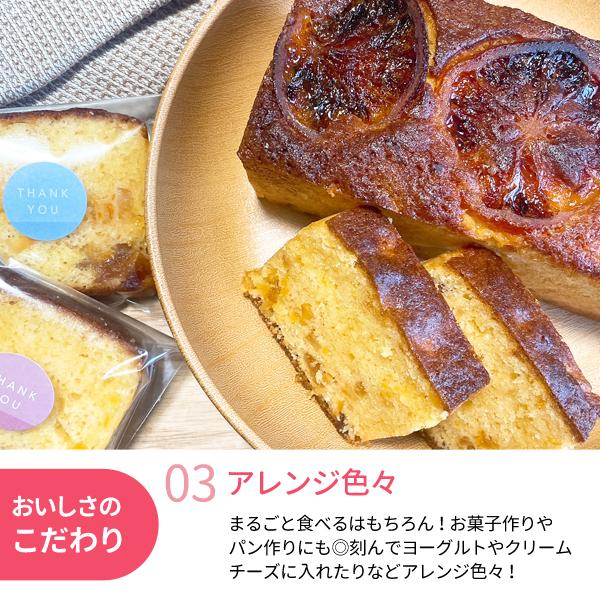 JA紀南 和歌山県産 国産果実 ドライフルーツすもも 50g 国産ドライ