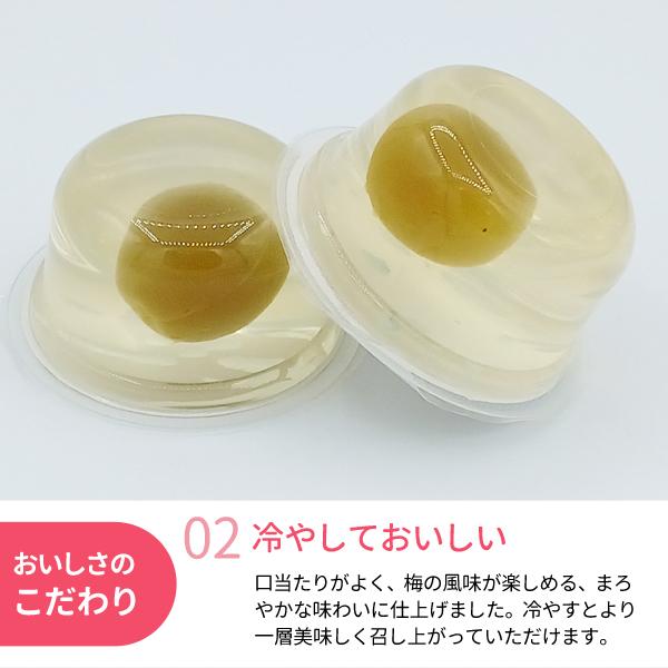 ご家庭用 紀州産梅の実入り 紀州梅ゼリー 90g×9個入 〜梅がまるごと