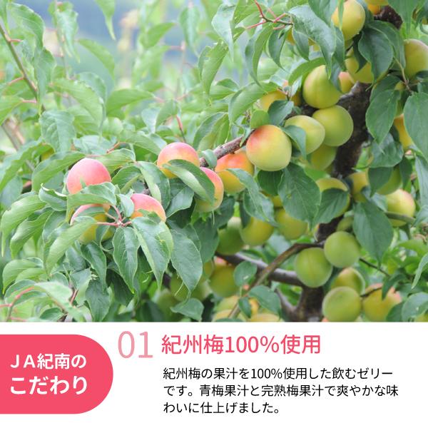 送料無料 ごくごくいける！飲む紀州梅ゼリー 180g×24個 2箱 プレゼント