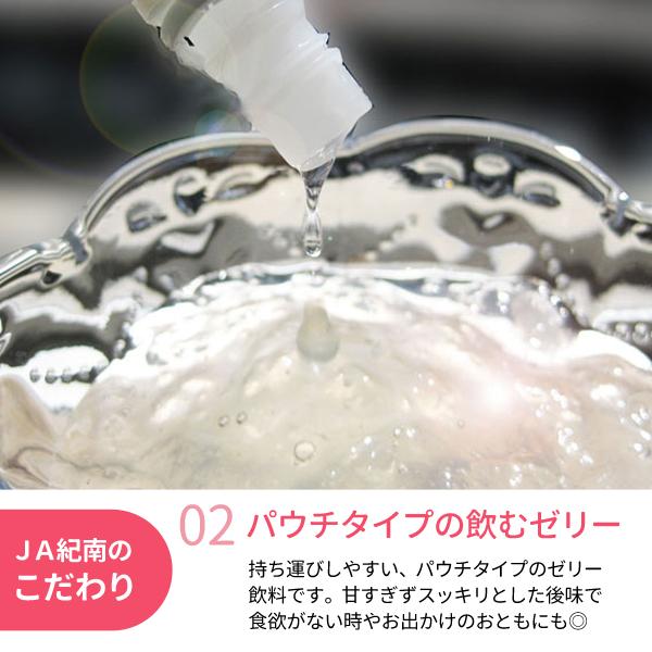 送料無料 ごくごくいける！飲む紀州梅ゼリー 180g×24個 2箱 プレゼント