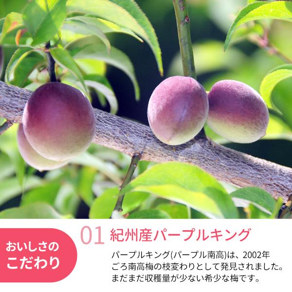 氷梅 冷凍パープルキング 梅酒用・梅ジュース用 500g 和歌山県紀州産