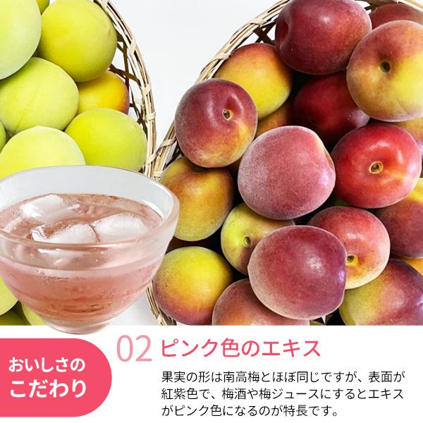 氷梅 冷凍パープルキング 梅酒用・梅ジュース用 500g 和歌山県紀州産