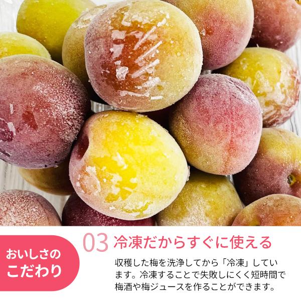 氷梅 冷凍パープルキング 梅酒用・梅ジュース用 500g 和歌山県紀州産