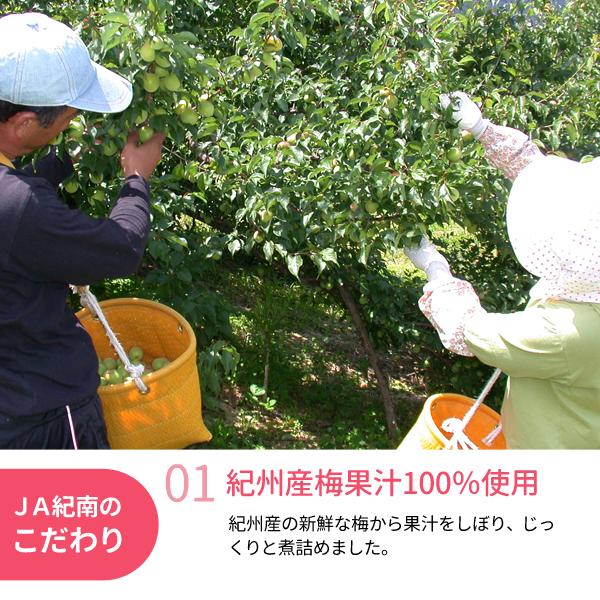 紀州産青梅使用 梅エキス　150g  梅肉エキス