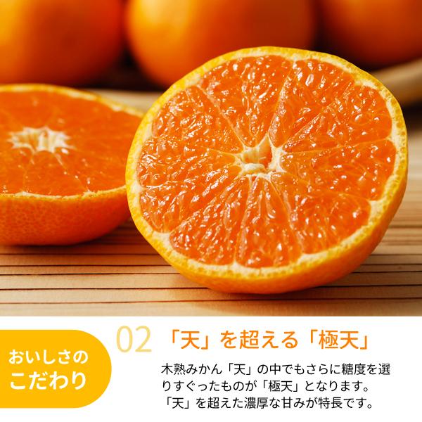 人気サイズ‼️少し早い木熟南高梅　秀品3Lサイズ　5kg みかんキング 楽天市場】【送料無料】木熟みかん（S～Mサイズ） 5kg☆和歌山紀南の木