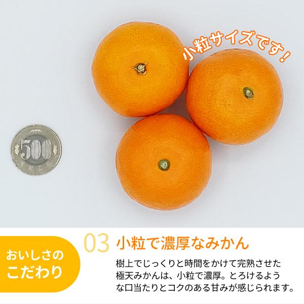 専用♥お年玉超特価❤みかん❤極やわ極上❤ダブルお布団♥Wボアケット JA紀南 みかん 木熟みかん「極天」 小玉サイズ 3kg×2箱 送料無料
