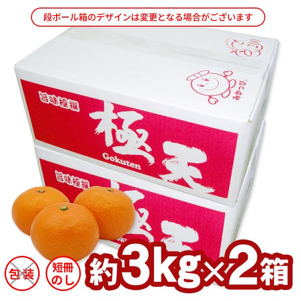 JA紀南 みかん 木熟みかん「極天」 小玉サイズ 3kg×2箱 送料無料