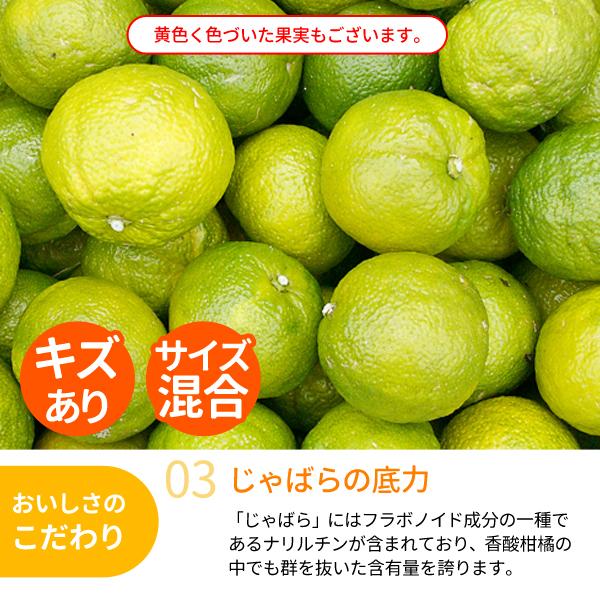 JA紀南 和歌山県紀南産 じゃばら 1kg 〜幻の果実北山村原産の香酸柑橘