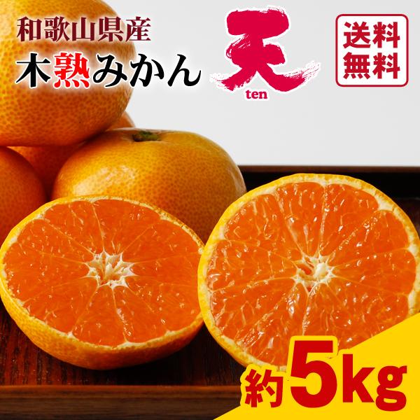 JA紀南 みかん 木熟みかん「天」 S〜Mサイズ 5kg×1箱 送料無料 お歳暮