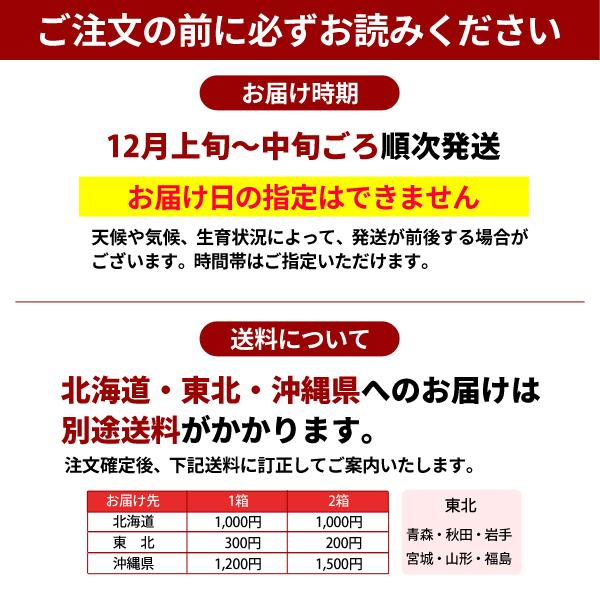 JA紀南 みかん 木熟みかん「天」 S〜Mサイズ 5kg×1箱 送料無料 お歳暮